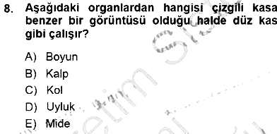 Tıp Terimleri 2014-2015 Dönem Sonu Sınavı - 8. soru
