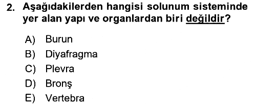Tıp Terimleri 2017-2018 Dönem Sonu Sınavı - 2. soru