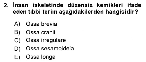 Tıp Terimleri 2019-2020 Dönem Sonu Sınavı - 2. soru