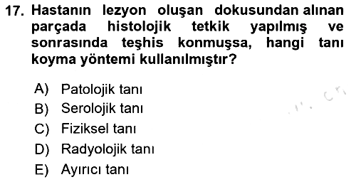 Tıp Terimleri 2024-2025 Dönem Sonu Sınavı - 17. soru