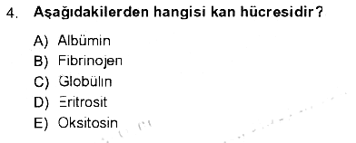 Tıp Terimleri 2012-2013 Tek Ders Sınavı - 4. soru