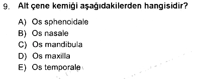 Tıp Terimleri 2012-2013 Tek Ders Sınavı - 9. soru