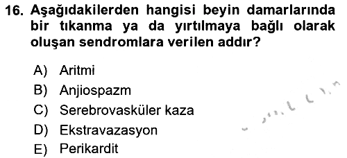 Tıp Terimleri 2018-2019 Yaz Okulu Sınavı - 16. soru