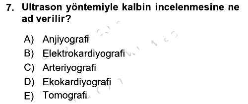 Tıp Terimleri 2020-2021 Yaz Okulu Sınavı - 7. soru