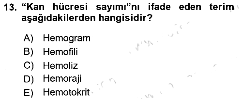 Tıp Terimleri 2020-2021 Yaz Okulu Sınavı - 13. soru