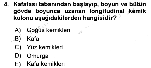 Tıp Terimleri 2021-2022 Yaz Okulu Sınavı - 4. soru