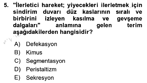 Tıp Terimleri 2024-2025 Yaz Okulu Sınavı - 5. soru