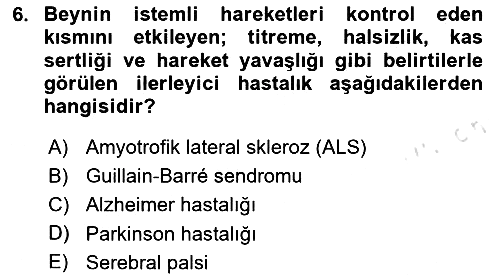 Tıp Terimleri 2025-2026 Yaz Okulu Sınavı - 6. soru
