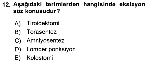Tıp Terimleri 2025-2026 Yaz Okulu Sınavı - 12. soru