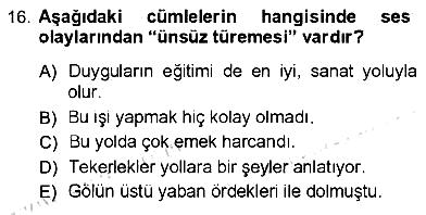 Türk Dili - 1 2012-2013 Ara Sınav - 16. soru