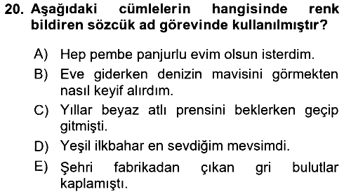 Türk Dili - 1 2016-2017 Ara Sınav - 20. soru