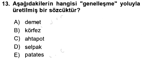 Türk Dili - 1 2017-2018 Ara Sınav - 13. soru