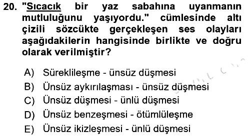 Türk Dili - 1 2017-2018 Ara Sınav - 20. soru
