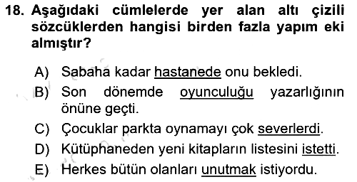 Türk Dili - 1 2019-2020 Ara Sınav - 18. soru