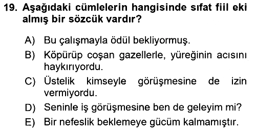 Türk Dili - 1 2019-2020 Ara Sınav - 19. soru