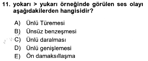 Türk Dili - 1 2021-2022 Ara Sınav - 11. soru