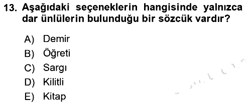 Türk Dili - 1 2021-2022 Ara Sınav - 13. soru