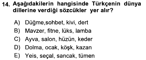 Türk Dili - 1 2017-2018 Dönem Sonu Sınavı - 14. soru
