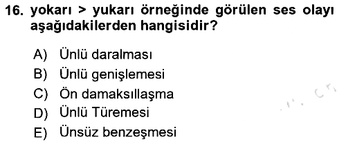 Türk Dili - 1 2020-2021 Yaz Okulu Sınavı - 16. soru