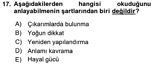 Türk Dili - 2 2018-2019 3 Ders Sınavı - 17. soru