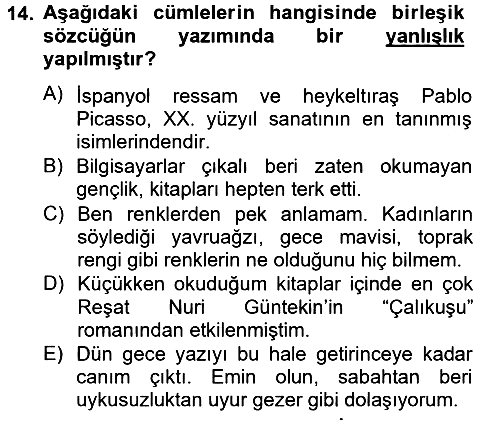 Türk Dili - 2 2012-2013 Ara Sınav - 14. soru