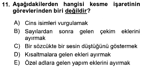 Türk Dili - 2 2022-2023 Ara Sınav - 11. soru
