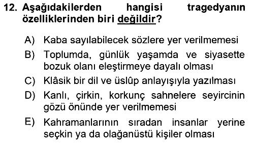 Türk Dili - 2 2018-2019 Dönem Sonu Sınavı - 12. soru