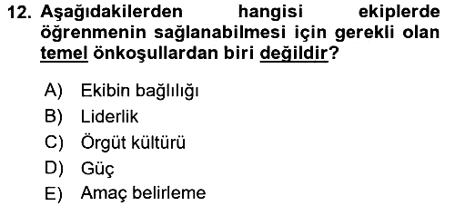 Yönetimde Güncel Yaklaşımlar 2017-2018 Ara Sınav - 12. soru