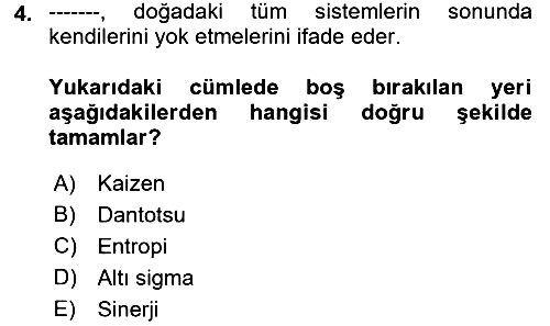 Yönetimde Güncel Yaklaşımlar 2018-2019 Ara Sınav - 4. soru