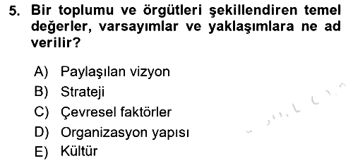 Yönetimde Güncel Yaklaşımlar 2022-2023 Yaz Okulu Sınavı - 5. soru