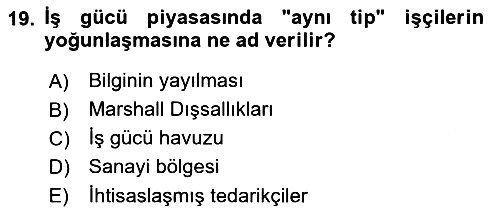 Yönetimde Güncel Yaklaşımlar 2022-2023 Yaz Okulu Sınavı - 19. soru