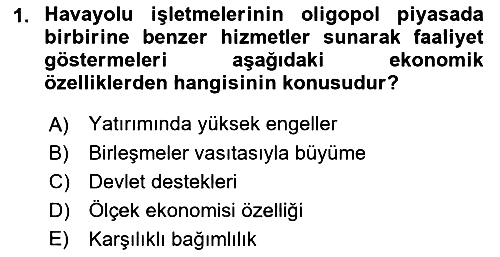 Havayolu İşletmelerinde Finansal Yönetim 2022-2023 Dönem Sonu Sınavı - 1. soru