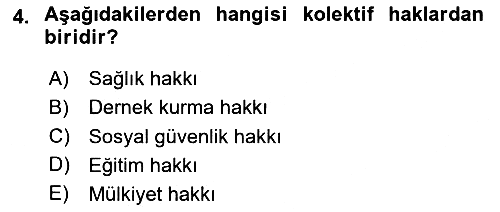 İnsan Hakları ve Kamu Özgürlükleri 2025-2026 Ara Sınav - 4. soru