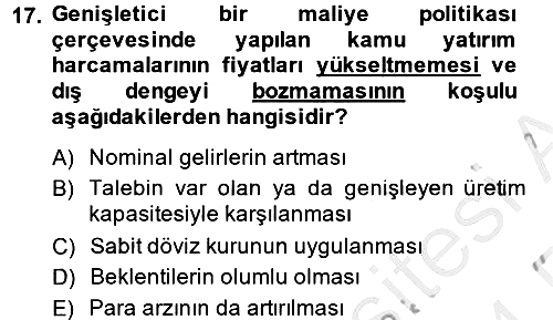 Maliye Politikası 2013-2014 Ara Sınav - 17. soru