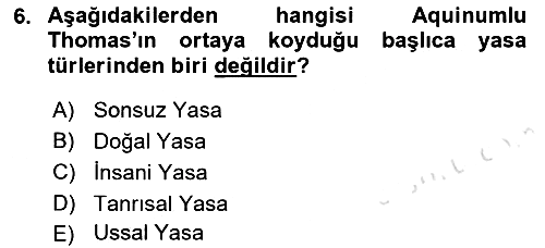 Siyasi Düşünceler Tarihi 2021-2022 Ara Sınav - 6. soru