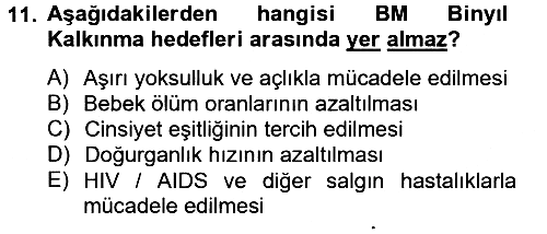 Uluslararası Örgütler 2012-2013 Dönem Sonu Sınavı - 11. soru