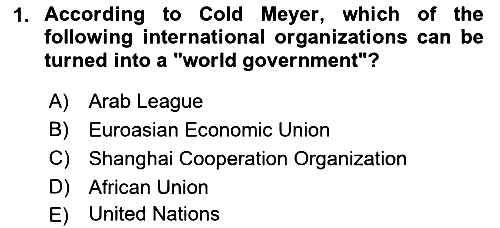 International Organization And Global Governance 2022-2023 Dönem Sonu Sınavı - 1. soru