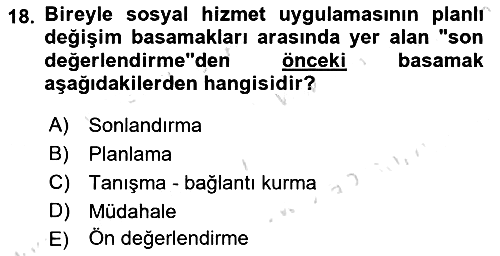 Bireylerle Sosyal Hizmet 2021-2022 Ara Sınav - 18. soru
