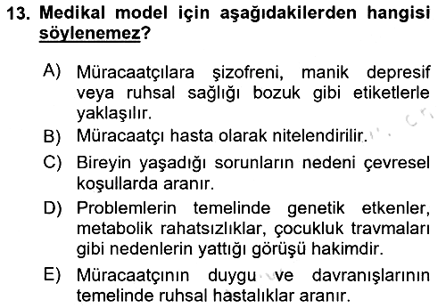 Bireylerle Sosyal Hizmet 2024-2025 Ara Sınav - 13. soru
