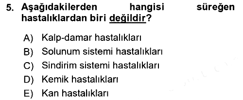 Engellilerle Sosyal Hizmet 2017-2018 Ara Sınav - 5. soru