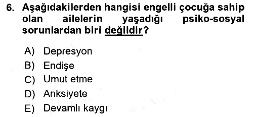 Engellilerle Sosyal Hizmet 2017-2018 Ara Sınav - 6. soru