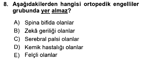 Engellilerle Sosyal Hizmet 2017-2018 Ara Sınav - 8. soru
