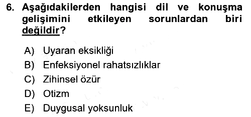 Engellilerle Sosyal Hizmet 2018-2019 Dönem Sonu Sınavı - 6. soru