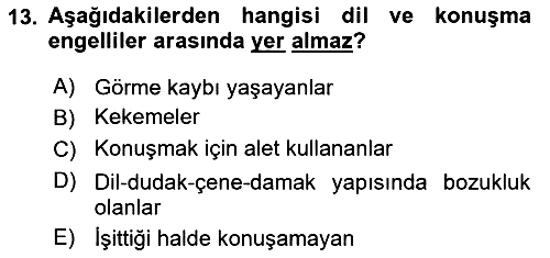 Engellilerle Sosyal Hizmet 2021-2022 Yaz Okulu Sınavı - 13. soru