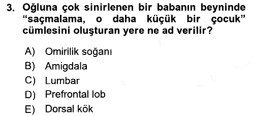 Etkili İletişim Teknikleri 2018-2019 Ara Sınav - 3. soru