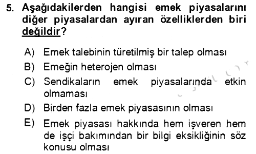 Göç Ve Göçmen Sorunları 2022-2023 Dönem Sonu Sınavı - 5. soru