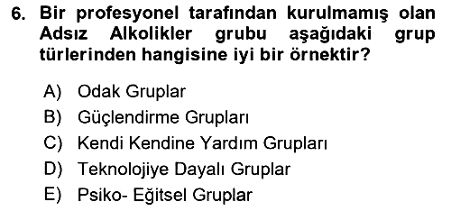 Gruplarla Sosyal Hizmet 2022-2023 Ara Sınav - 6. soru