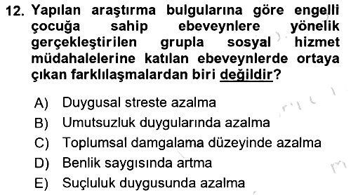 Gruplarla Sosyal Hizmet 2022-2023 Ara Sınav - 12. soru