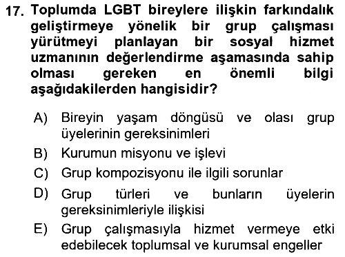 Gruplarla Sosyal Hizmet 2022-2023 Ara Sınav - 17. soru