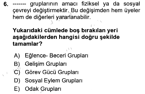Gruplarla Sosyal Hizmet 2023-2024 Ara Sınav - 6. soru